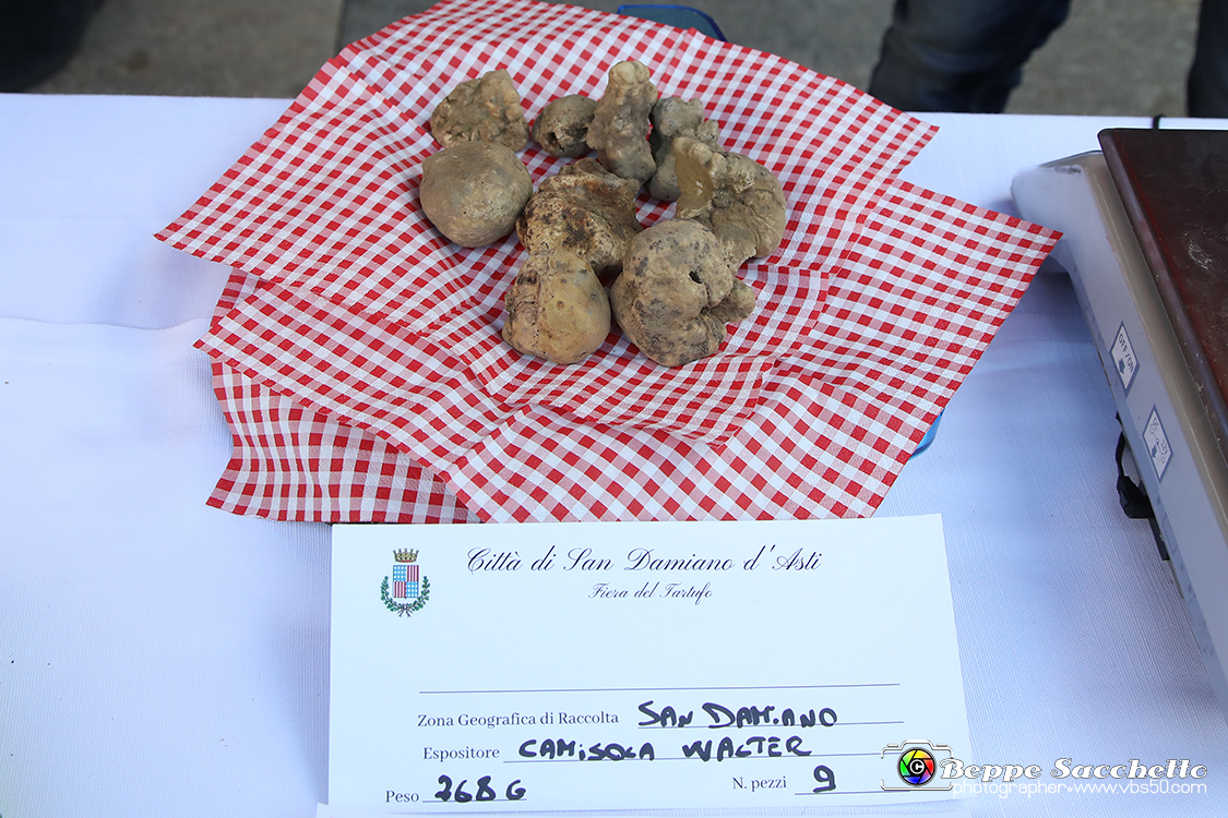 VBS_5692 - 10.ma Fiera Nazionale del Tartufo e Fiera dei Santi.jpg